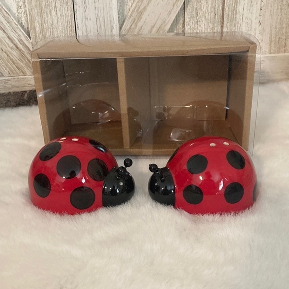 Ceramic Ladybug Shakers - Picture 1 of 6